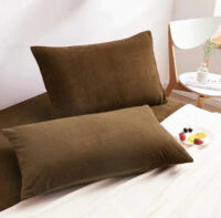 Luxury Pillow Cover 2Pcs Velvet Brown