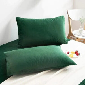 Luxury Pillow Cover 2Pcs Velvet Green